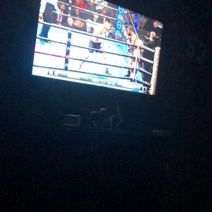 Meet your Posher, Maurice